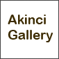 Akinci Gallery at Buy Original Art
